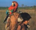 Amazonas Colombia 
