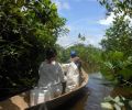 Amazonas Colombia 