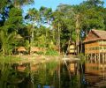 Amazonas Colombia 