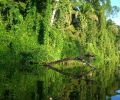 Amazonas Colombia 