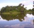 Amazonas Colombia 