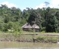 Amazonas Colombia 