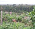 Amazonas Colombia 