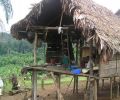 Amazonas Colombia 