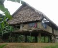 Amazonas Colombia 