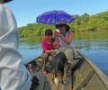 Amazonas Colombia 